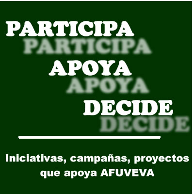 Bunner_participa_decide